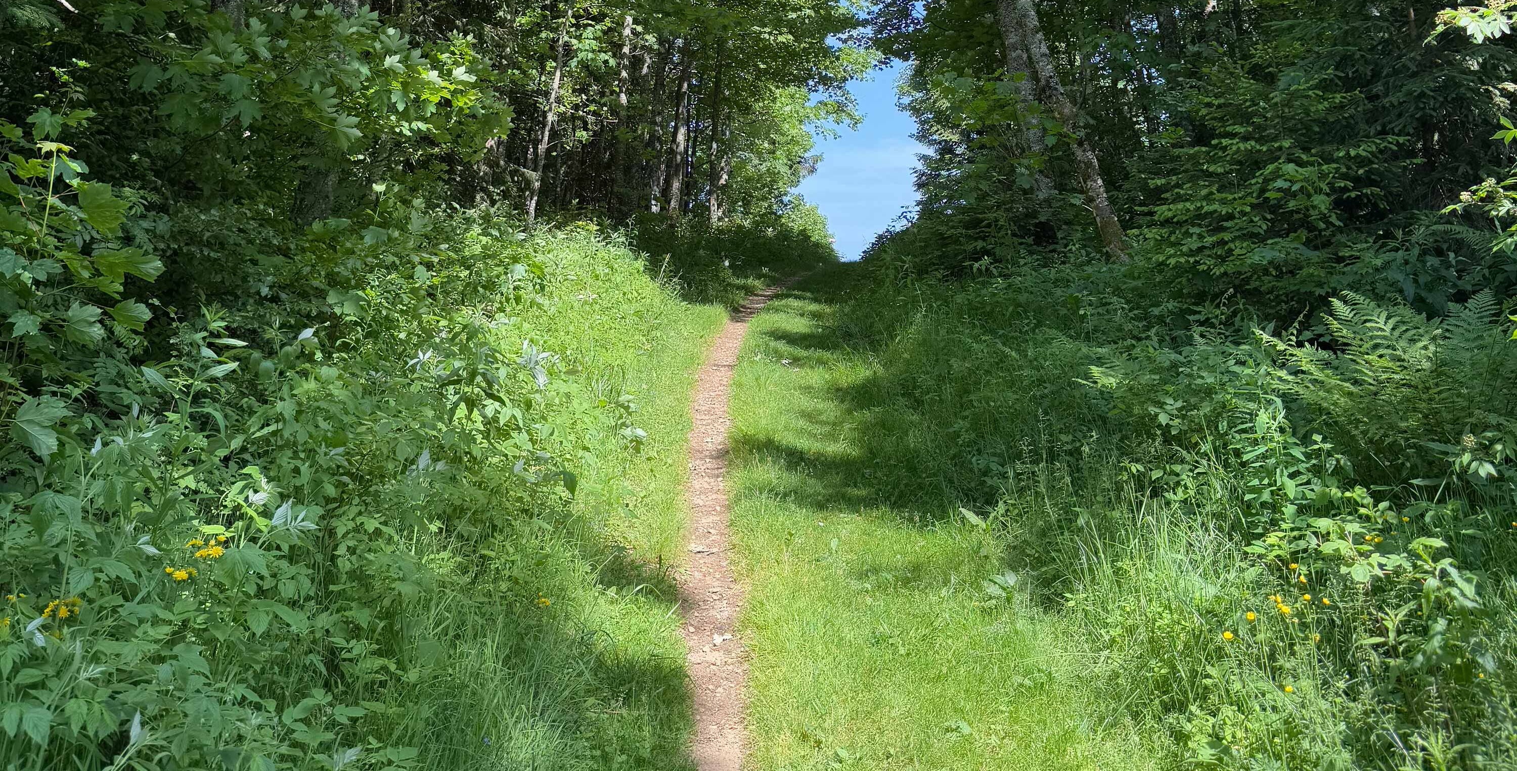 Maria Knebel - Workshops und Events